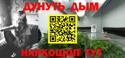PSILOCYBIN Рыбинск