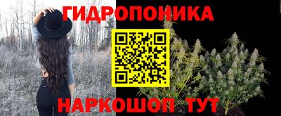 PSILOCYBIN Рыбинск