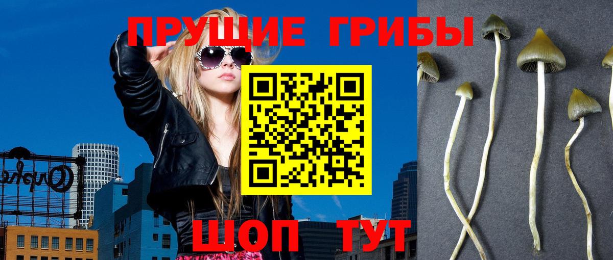 Псилоцибиновые грибы GOLDEN TEACHER Сорочинск