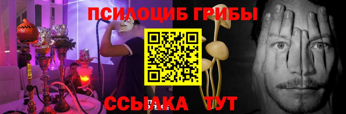 Псилоцибиновые грибы MAGIC MUSHROOMS  Вход с VPN  Псилоцибиновые грибы Psilocybine cubensis  Сорочинск 